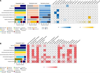 Diversity in the Characteristics of Klebsiella pneumoniae ST101 of Human, Environmental, and Animal Origin